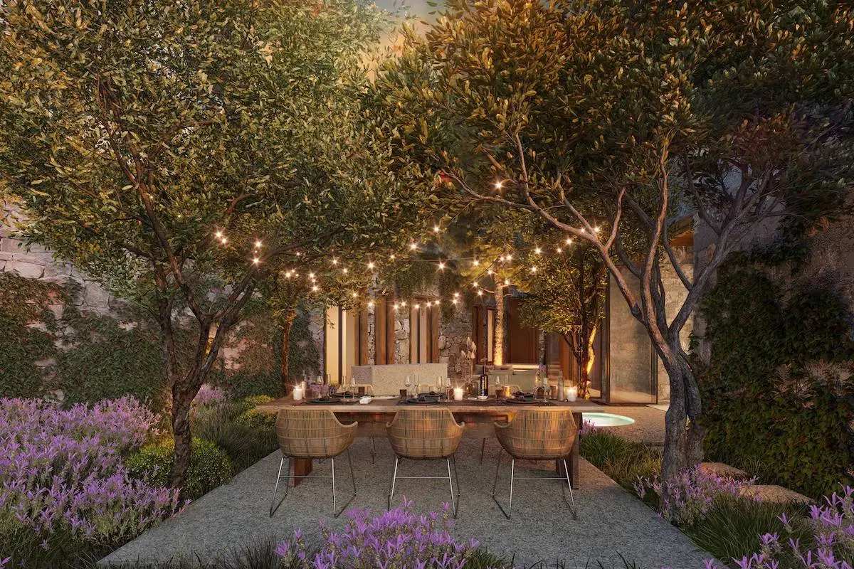 Mature garden
